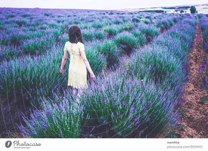 Back view of a young woman in a field of lavender Lifestyle Relaxation Fragrance Adventure Summer Agriculture Forestry Human being Feminine Woman Adults