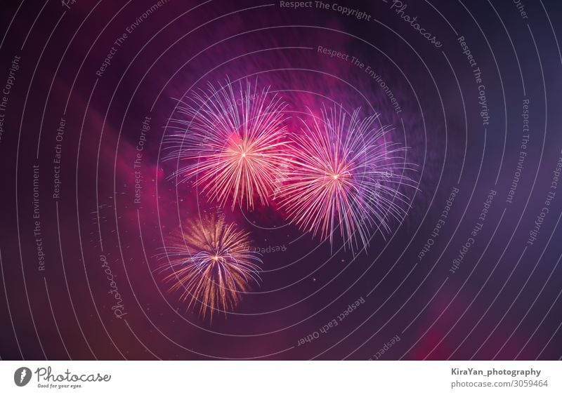Colorful fireworks salute in dark sky Entertainment Feasts & Celebrations Christmas & Advent New Year's Eve Sky Glittering Looking Dark Bright Beautiful Violet