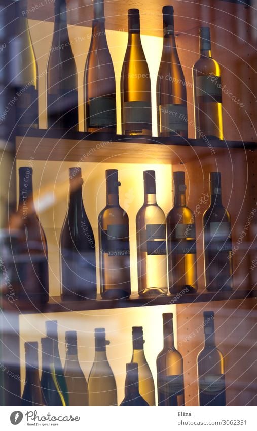 in vino veritas Wine To enjoy White wine Bottle of whitewine Winegrower Wine store Wine shelves of high quality Alcoholic drinks wine selection Elegant Noble
