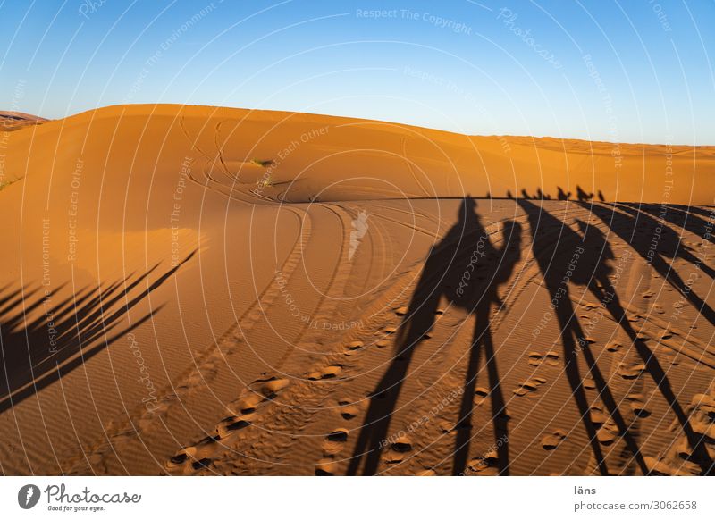the caravan moves on Vacation & Travel Tourism Trip Adventure Far-off places Human being Group Sand Sky Cloudless sky Beautiful weather Desert Sahara