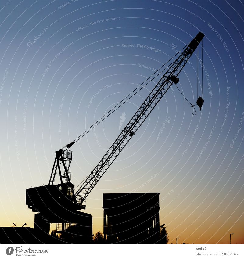 nerd Workplace Crane Industry Trade Logistics Services Cloudless sky Outskirts Steel cable Framework Metal Dark Success Firm Large Tall Calm Integrity
