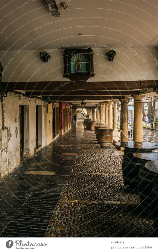 Old town colonnades- because it almost always rains in Aviles Colonnades Paving stone pavement Colour photo Exterior shot Altar of Mary Day Rain Gray Brown