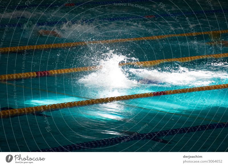 SPORT - When competing in the pool, the sun is shining, all you see is the water splashing high. White and blue. The swimming lanes are separated. Joy