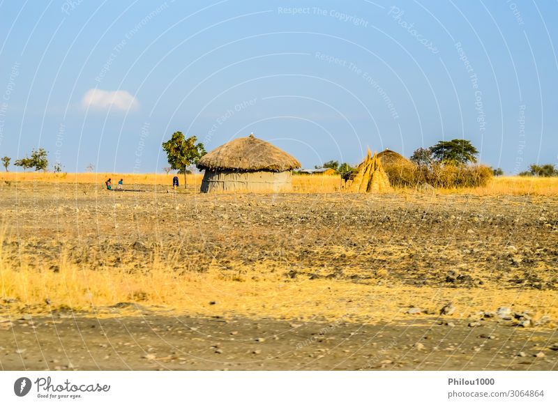 Traditional tribal hut of Kenya people. . House (Residential Structure) Nature Hut Poverty african tribe straw Colour photo