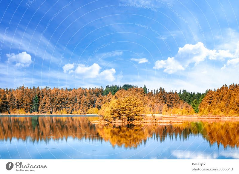 Autumn lake scenery with colorful trees Vacation & Travel Environment Nature Landscape Sky Tree Leaf Park Forest Coast Pond Lake River Fresh Bright Natural Blue