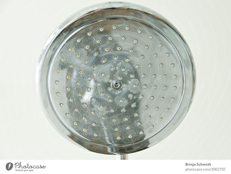 Shower head seen from below - water march! Plate Luxury Elegant Style Design Money Wellness Arrange Interior design Bathroom Shower (Installation)