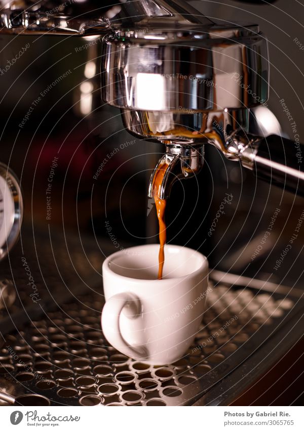 Espresso from the sieve carrier machine Dessert Coffee Coffee cup To have a coffee Coffee break Coffee bean Coffee maker Espresso machine Italian Food Italy