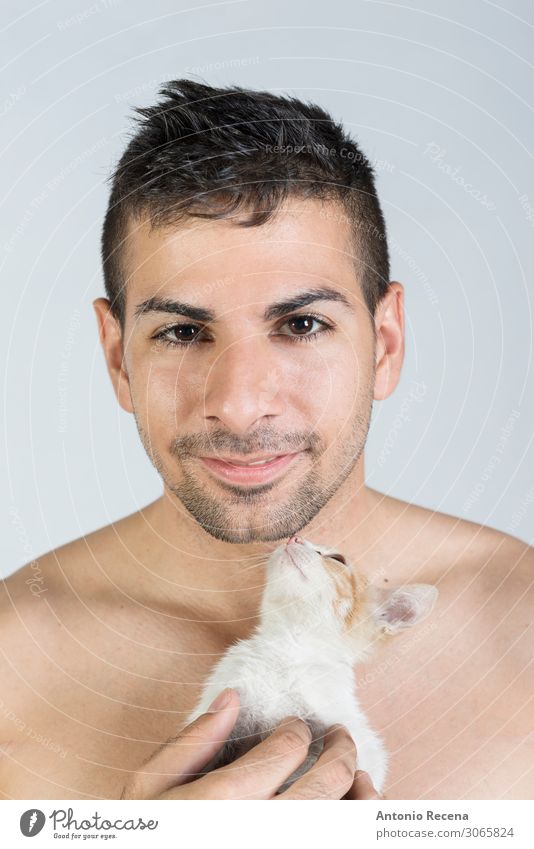 man and little kitty in studio shot Lifestyle Summer Human being Man Adults Youth (Young adults) Animal Pet Cat Smiling Love Eroticism Small Strong Protection
