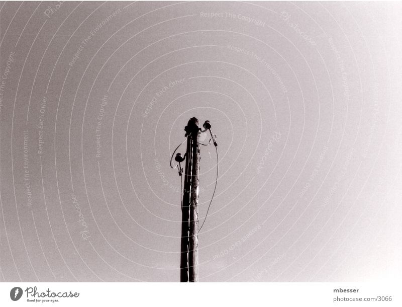 Orphaned Mast Telegraph pole Telecommunications Sky Black & white photo wireless