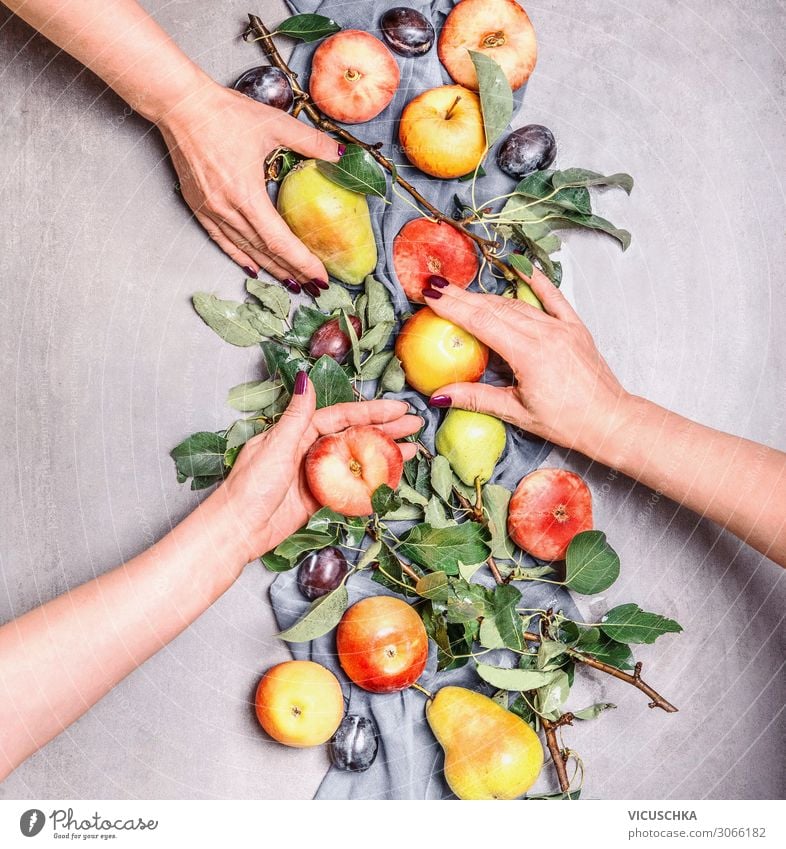 Women's hands holding seasonal fruit from the garden Food Fruit Apple Lifestyle Shopping Design Healthy Eating Human being Woman Adults Hand Organic produce