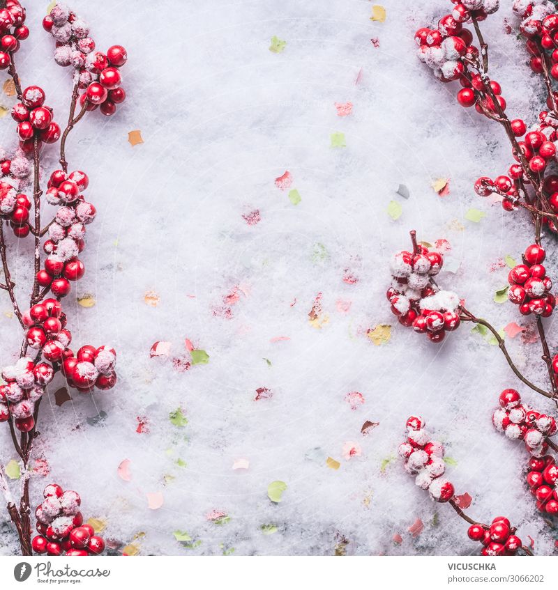 Red frozen berries on snow. Background Frame Style Design Winter Feasts & Celebrations Christmas & Advent Nature Snow Decoration Background picture Frost Frozen
