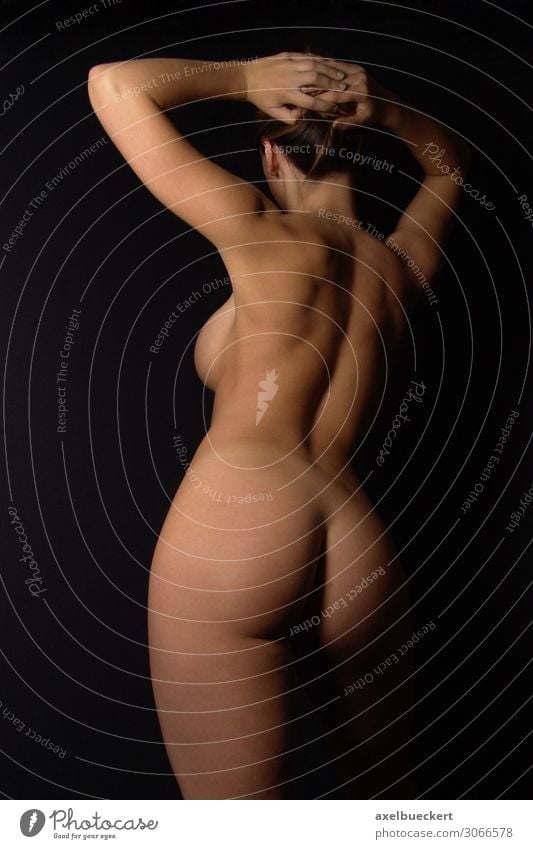 https://www.photocase.com/photos/3066578-female-nude-from-behind-nude-photography-photocase-stock-photo-large.jpeg