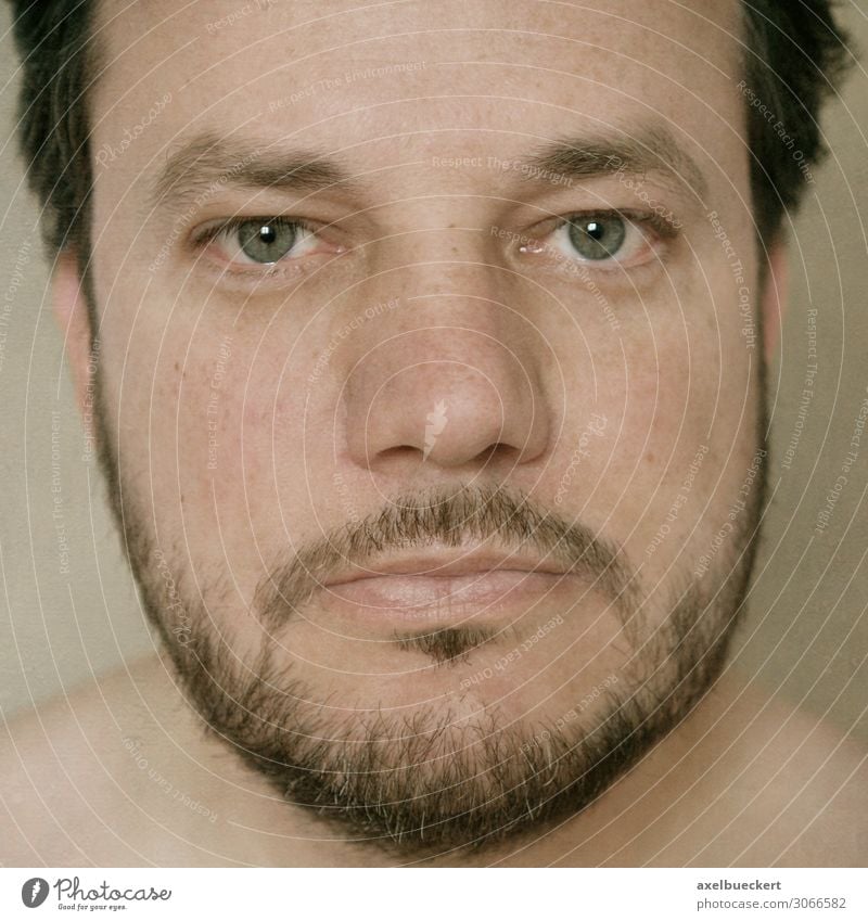 Headshot of a bearded man Human being Masculine Man Adults Face 1 30 - 45 years Black-haired Brunette Short-haired Facial hair Designer stubble Beard Authentic