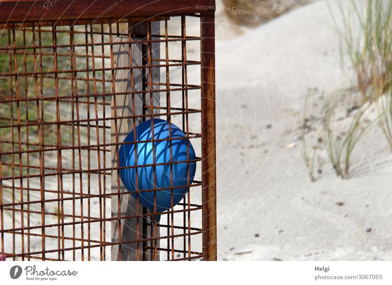 blue balloon in a metal container for plastic finds on the beach on the dune of Helgoland Environment Nature Landscape Plant Summer Beach Island Dune Balloon