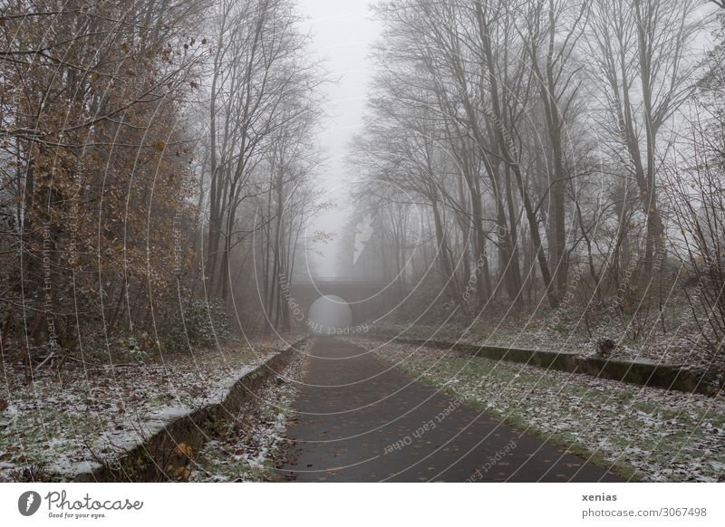 nebulous | former railway line with some snow Fog Winter Cycling Cycle path Autumn Ice Frost Snow Tree Mountainous area Balkan route Bridge Pedestrian