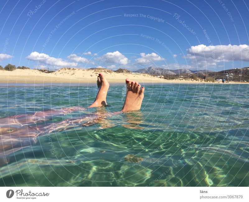 Feet in the sea Beach Island Looking Tourism Water Ocean Float in the water Colour photo Exterior shot Copy Space right Copy Space top Sunlight