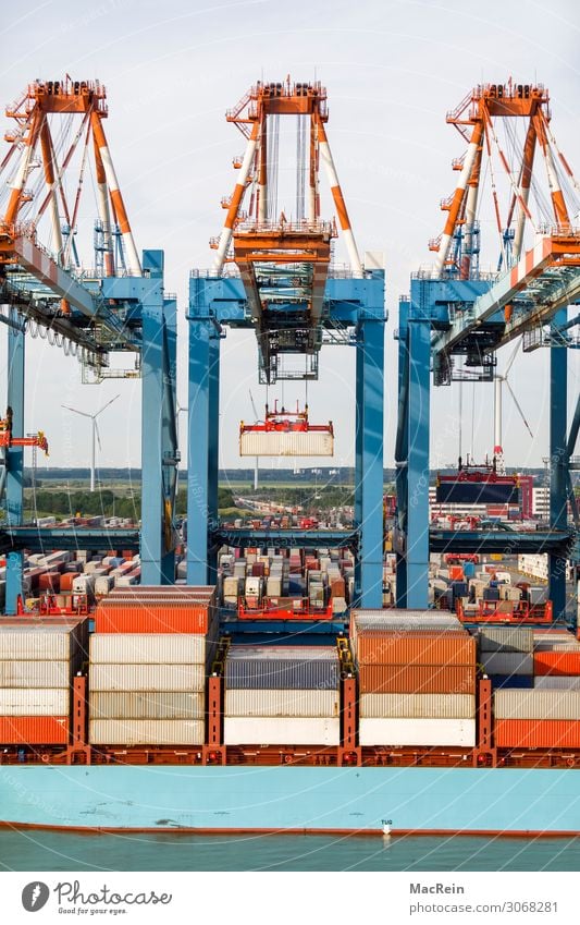 container port Logistics Stock market Means of transport Container Hang Container terminal Erase Colour photo Exterior shot Deserted