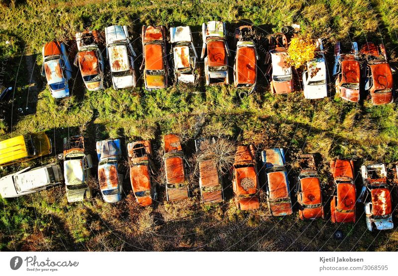 Rusty cars from above Summer Climate change Vehicle Car Vintage car Old Retro Brown Multicoloured Green Fatigue Leisure and hobbies Nostalgia Stagnating