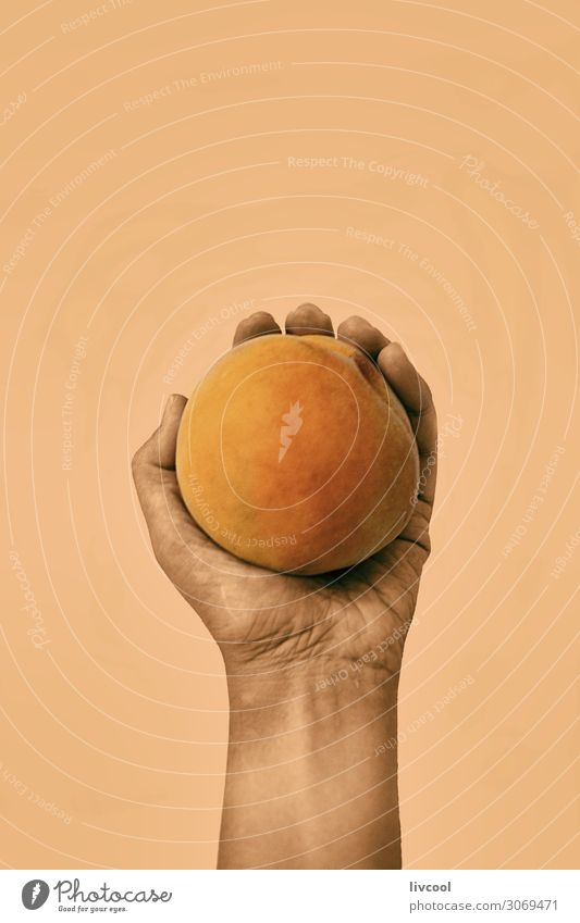 peach on orange wall II Food Vegetable Fruit Nutrition Lifestyle Design Human being Woman Adults Arm Hand Fingers Nature Diet To enjoy Hang Fresh Contentment