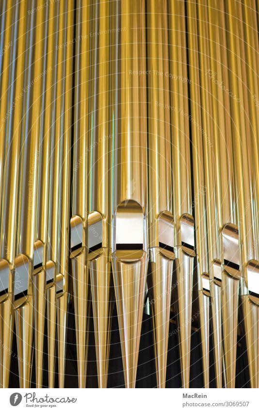 organ pipes Church Calm Belief Religion and faith Organ Organ pipe Christianity Gold Colour photo Interior shot Close-up Detail Deserted