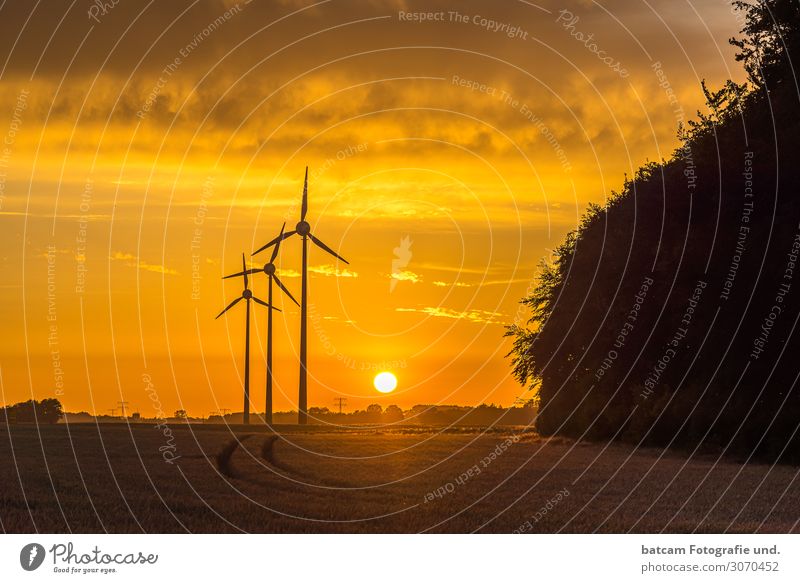 Small wind farm at sunset behind a grain field Renewable energy Wind energy plant Environment Landscape Summer Autumn Climate change Beautiful weather Field