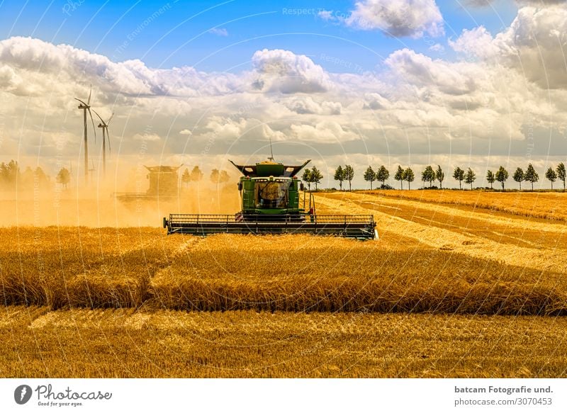 Large combine harvester mowing a cereal field Grain Summer Work and employment Agriculture Forestry Machinery Nature Landscape Sky Clouds Sun Autumn