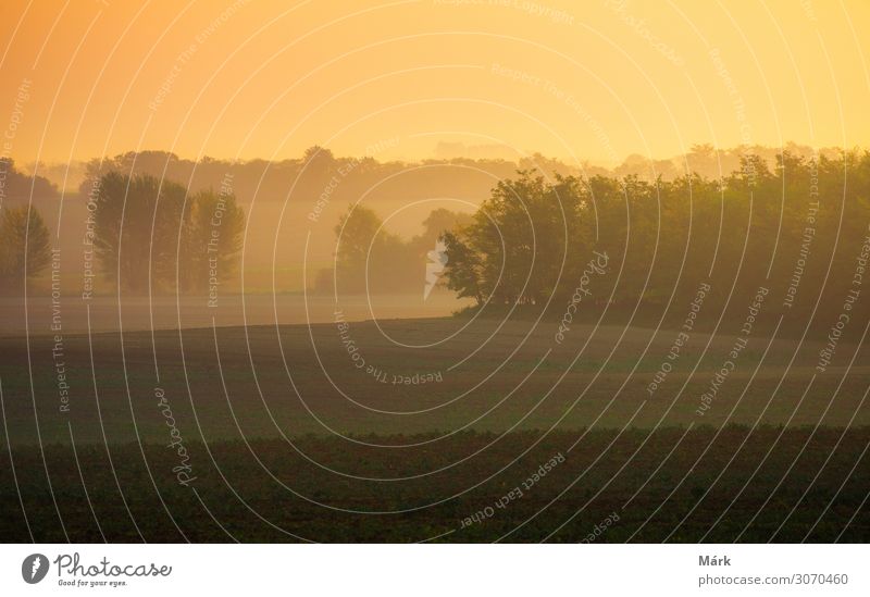 Autumn sunrise on the farmfield. Trees in the foggy autumn morning in Hungary Sunrise Landscape Meadow Agriculture Field Nature Dawn Morning Sunset Horizon