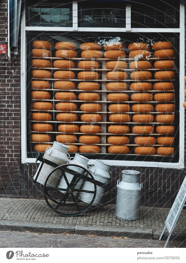 valuable | Dutch gold Food Cheese Dairy Products Nutrition Small Town Pedestrian precinct Wall (barrier) Wall (building) Window Authentic Historic Delicious
