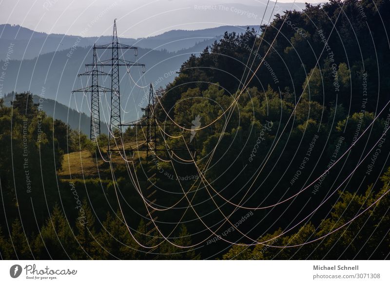 power lines Energy industry Electricity Electricity pylon Environment Nature Landscape Plant Tree Forest Natural Colour photo Exterior shot Deserted Evening
