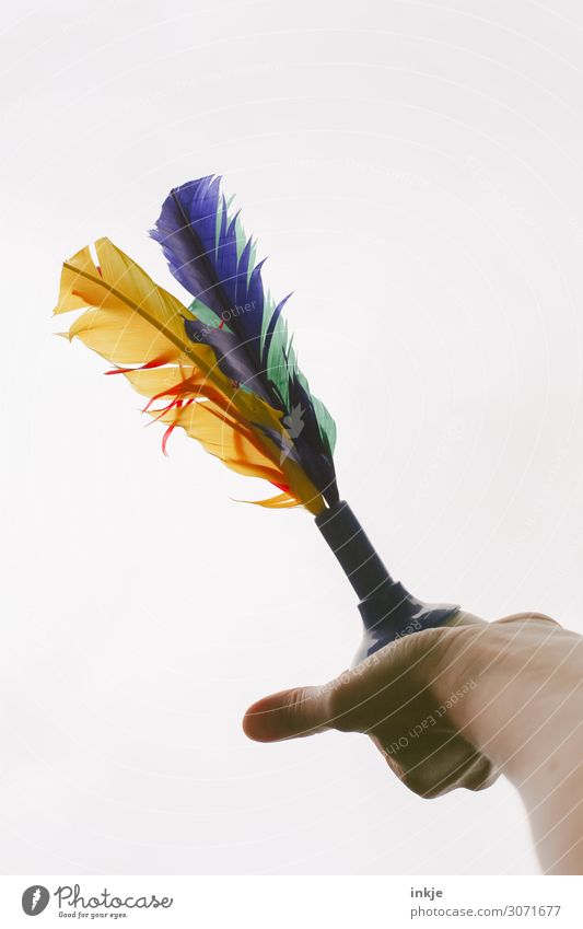 Indiaca Lifestyle Leisure and hobbies Playing Sports Young woman Youth (Young adults) Woman Adults Hand 1 Human being Feather To hold on Throw Multicoloured