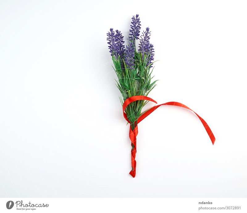 lavender bouquet and red ribbon Feasts & Celebrations Wedding Birthday Plant Flower Blossom Bouquet String Blossoming Write Above Green Red White Romance