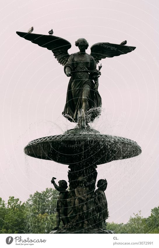 angel of the waters Woman Adults Art Work of art Water Sky Park New York City Central Park USA North America Tourist Attraction Monument Animal Wild animal Bird