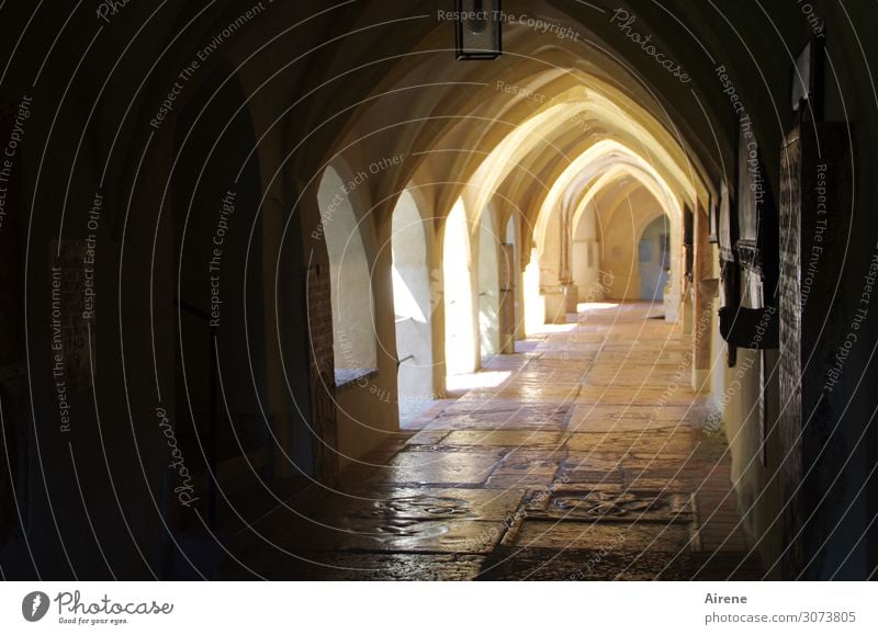 towards the light Architecture Church Arcade Monastery Tourist Attraction Sign Ornament Tombstone Marble floor Archway Going Bright Historic Positive Brown Gold