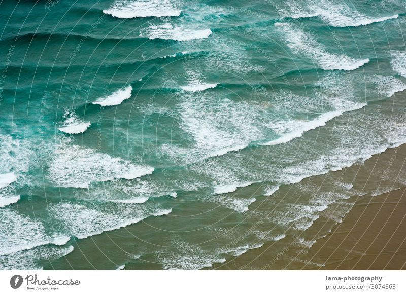 Experience the sea New Zealand Waves Ocean ocean Coast Water Beach Nature White crest Surf Surfing Abstract Pattern Aerial photograph