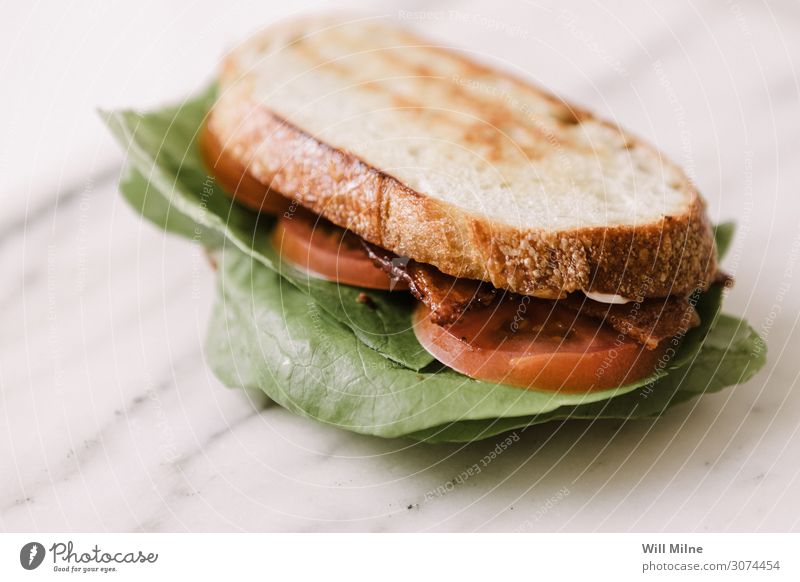 Bacon Lettuce Tomato Sandwich Meal Lunch Bread BBQ Food Dish Food photograph Appetite Marble Green Red