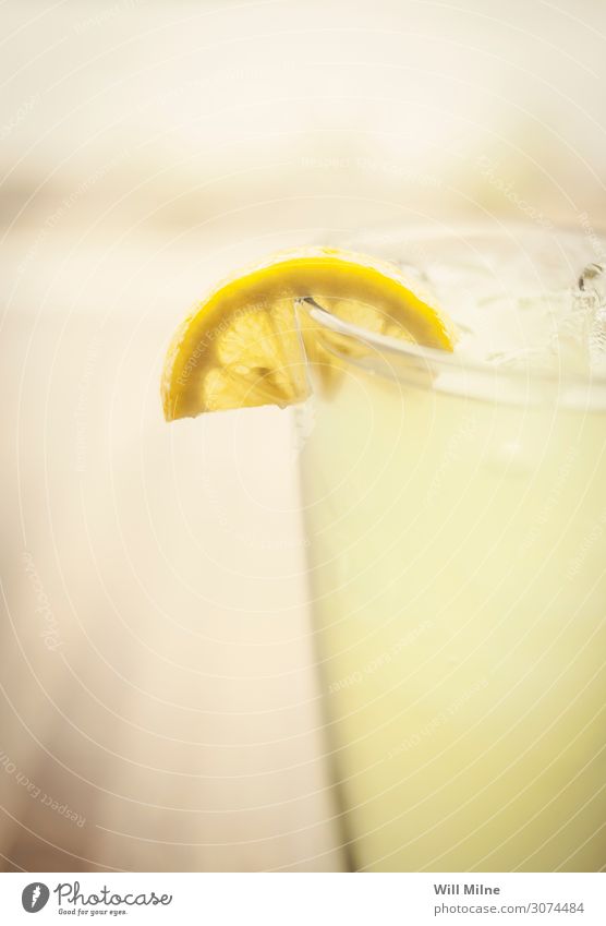 Lemonade with a Slice of Lemon Beverage Drinking Cold Summer Yellow Citrus fruits Glass Close-up
