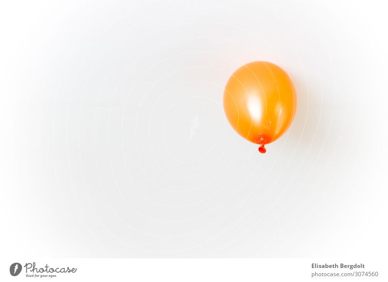 Orange Balloon Party Birthday Flying Happiness Happy Positive Crazy White Joy Colour Colour photo Interior shot Deserted Copy Space left Copy Space bottom Day