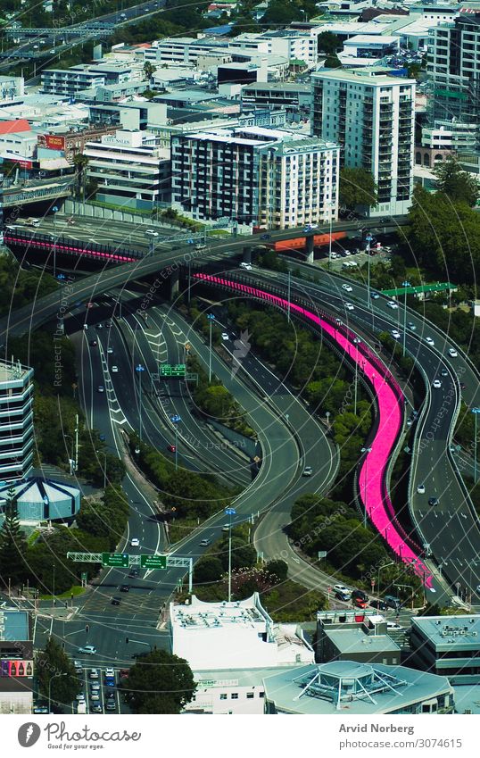 Pink walkway and bike road in the middle of Auckland city, New Zealand abstract adventure art beautiful builing car cityscape construction house neon path pink