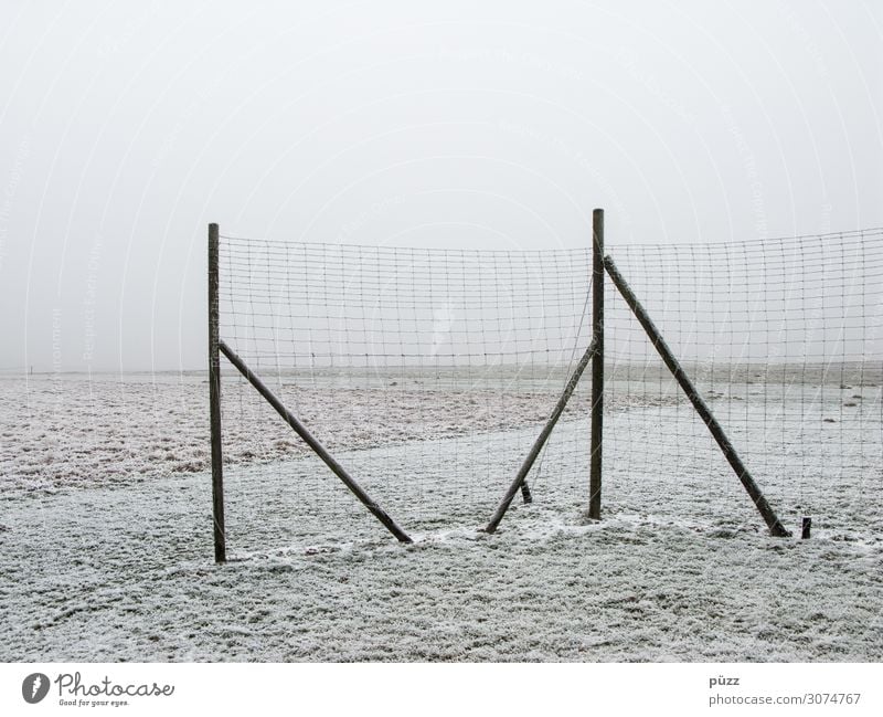 fence Environment Nature Landscape Earth Sky Winter Bad weather Fog Ice Frost Snow Field Wood Cold White Sadness Loneliness Apocalyptic sentiment Far-off places