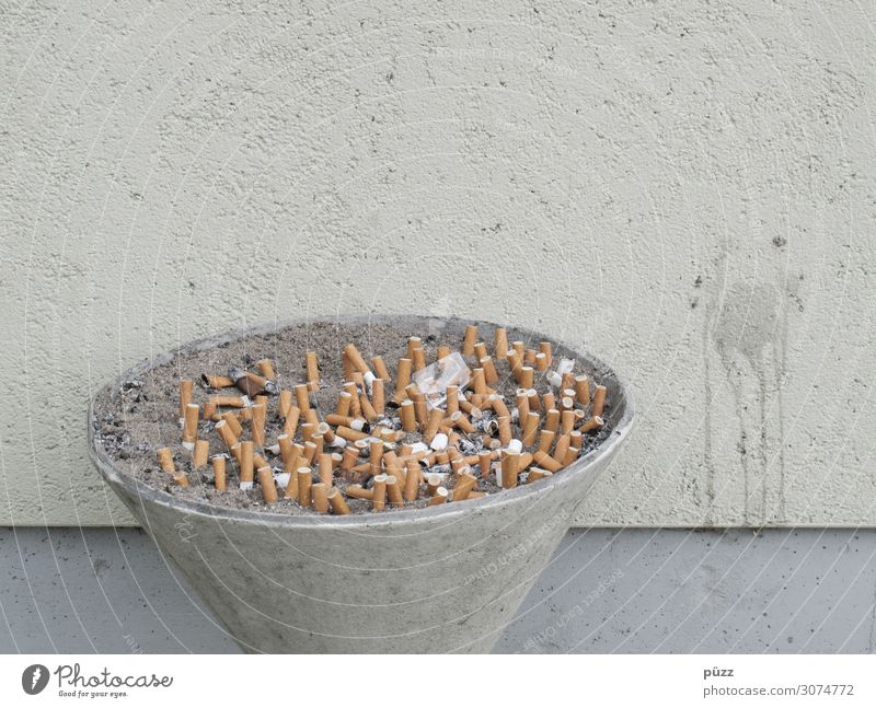 fag ends Healthy Health care Smoking Intoxicant Wall (barrier) Wall (building) Facade Dirty Disgust Illness Gray Unhealthy Cigarette Cigarette Butt Ashes