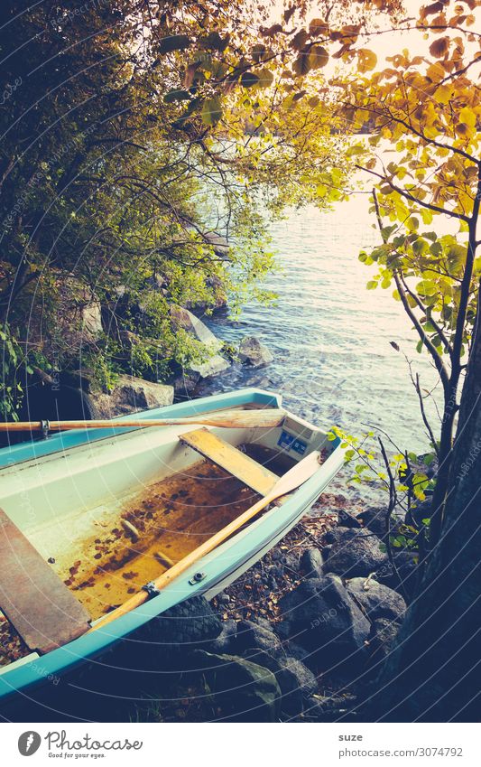 Suddenly Autumn Calm Vacation & Travel Trip Environment Nature Landscape Water Tree Lakeside Fishing boat Rowboat Watercraft Stone Lie Old Moody Peaceful