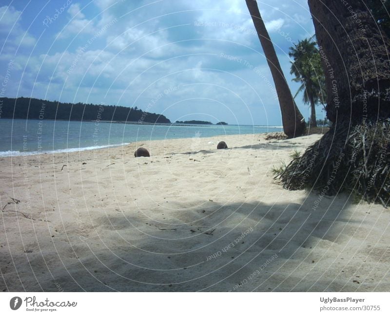 beach Beach Palm tree Coconut Ocean Clouds Sand Water Blue Shadow