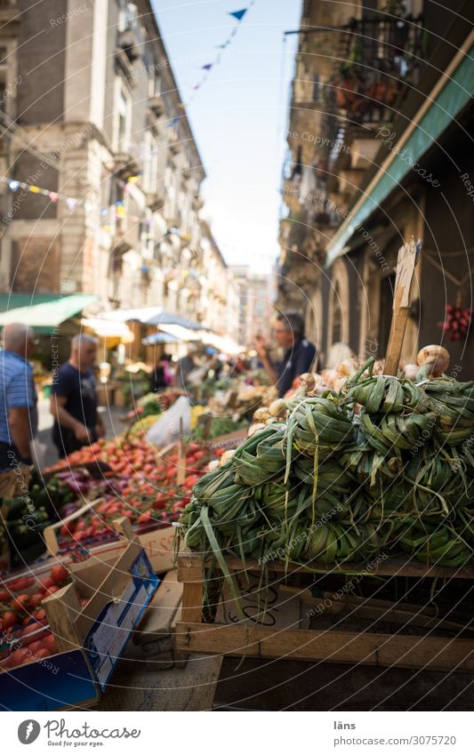 market stall Food Vegetable Fruit Nutrition Human being Masculine Life 3 Catania Italy Town House (Residential Structure) Building Shopping Curiosity