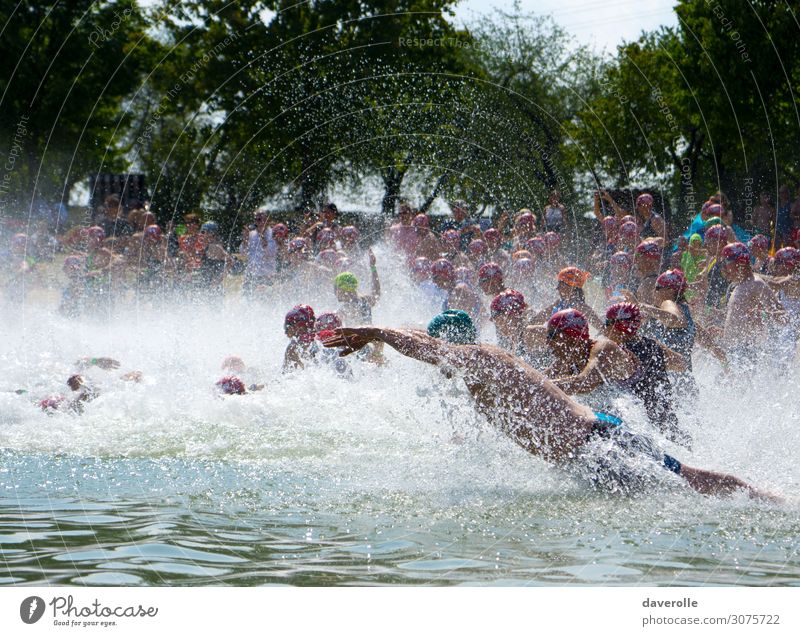 dive Summer Sports Fitness Sports Training Aquatics Sportsperson Sporting event Swimming & Bathing Lake Human being Masculine Body Crowd of people Sunlight Wet