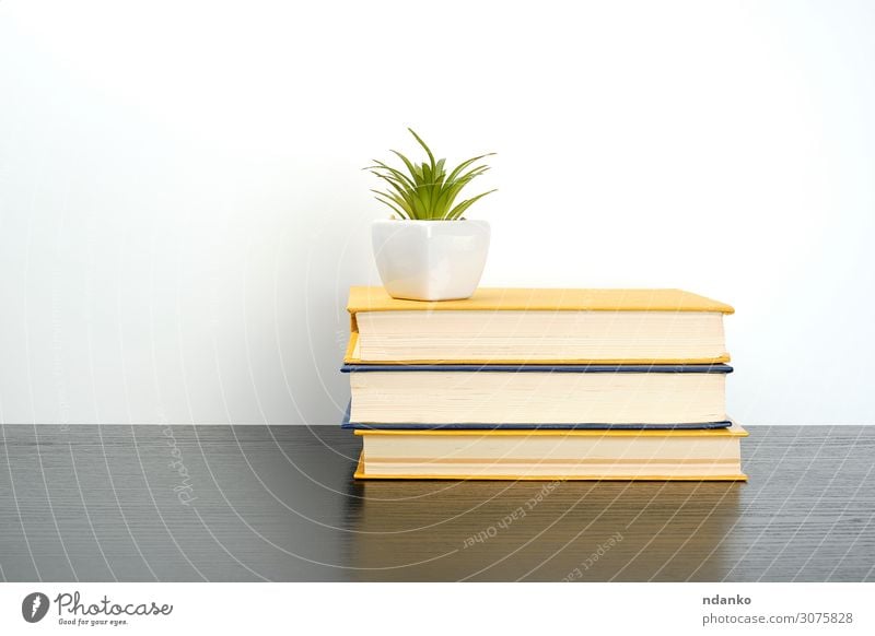 stack books on a black table, on top a ceramic pot Pot Reading Table Science & Research School Study Classroom Academic studies Business Book Library Plant