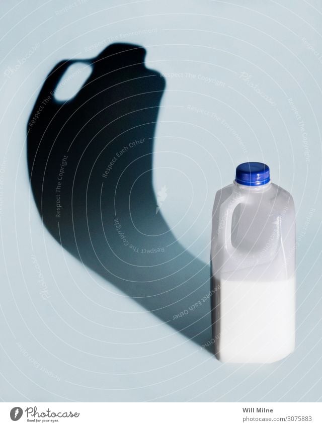 Milk Jug and a Shadow Blue White Beverage Drinking Cow Morning Dairy Minimal