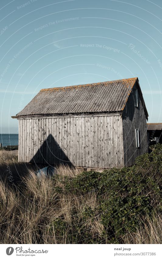 Danish geometry - III Denmark Fishing village Deserted Hut Wall (barrier) Wall (building) Facade Wood Old Uniqueness Maritime Natural Blue Gray Serene Calm