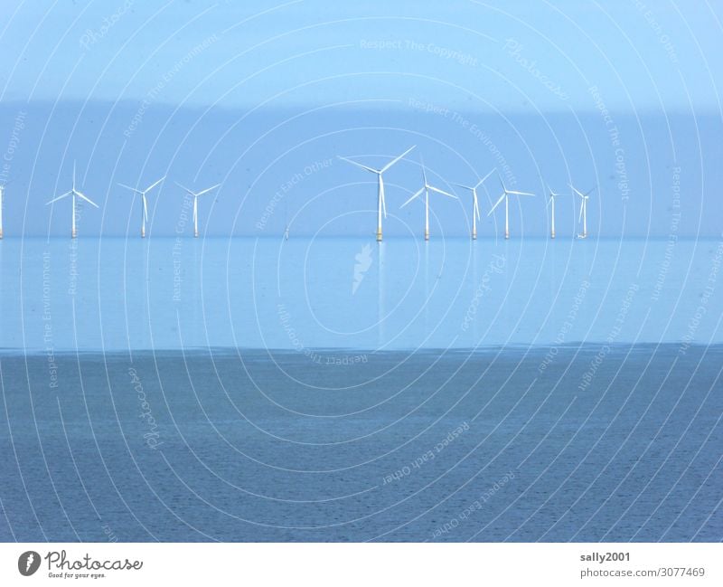 The power of the wind... wind power offshore Pinwheel Wind offshore wind farm electricity Energy Sustainability Wind energy plant Renewable energy