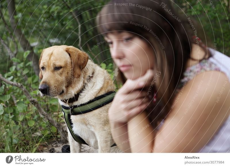 Labrador with young woman in the forest Style Beautiful Harmonious Young woman Youth (Young adults) 18 - 30 years Adults Nature Summer Beautiful weather Forest