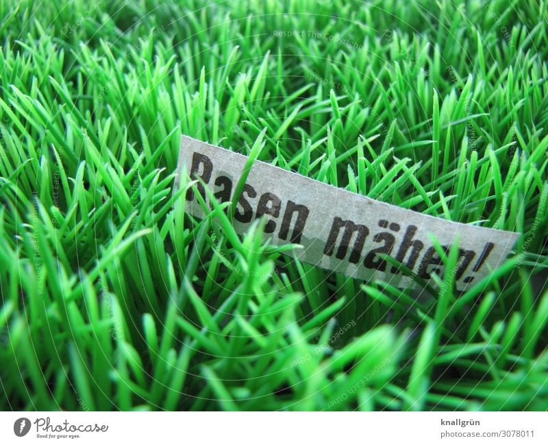 Mow the lawn! Characters Signs and labeling Communicate Natural Green Black White Determination Orderliness Nature Arrangement Town Growth Gardening Meadow Lawn
